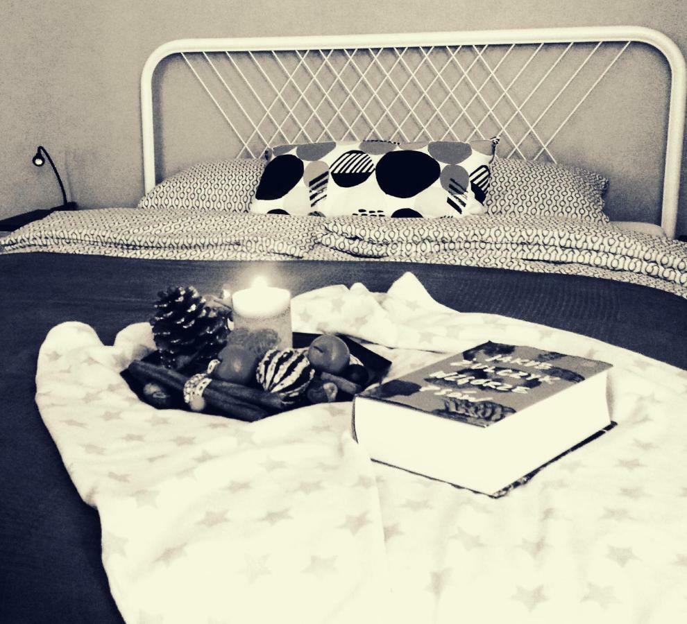 Apartament Szczytna No'10 Stary Toruń 外观 照片